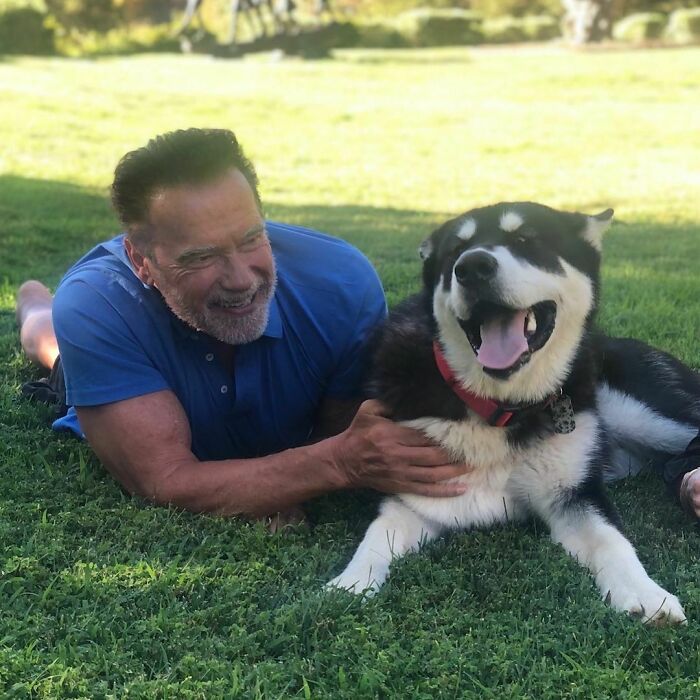 Celebrity in a blue shirt lying on grass, smiling and affectionately petting a large happy dog outdoors.
