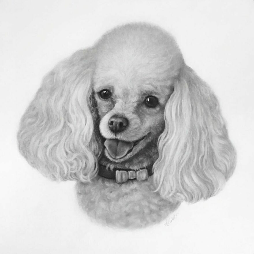 This Artist Makes Realistic Portraits Of Animals That Will Leave You Jaw-Dropping