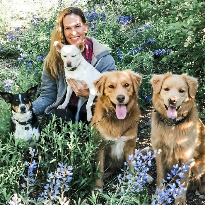 Woman with four dogs sitting among wildflowers, showcasing celebrity love for dogs in an outdoor natural setting.