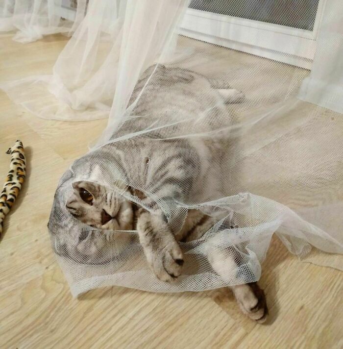 What? I Am Still Cute Right? It Was Just A Play