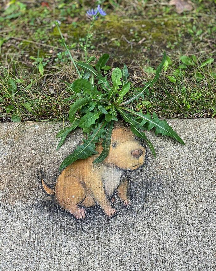 Artist Manages To Extract Life From The Streets And Walls In An Improvised And Joyful Way (New Pics)