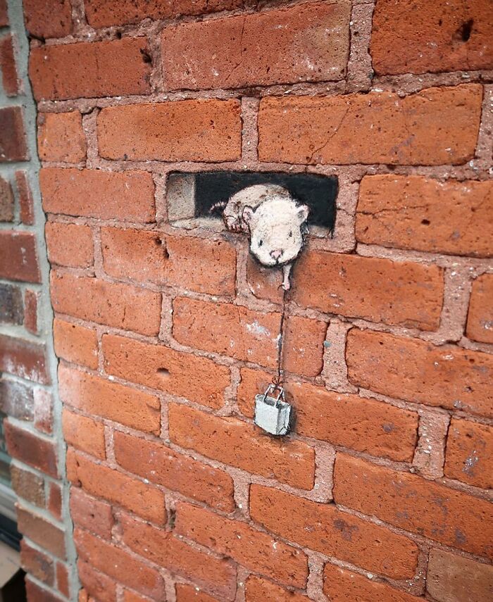 Artist Manages To Extract Life From The Streets And Walls In An Improvised And Joyful Way (New Pics)