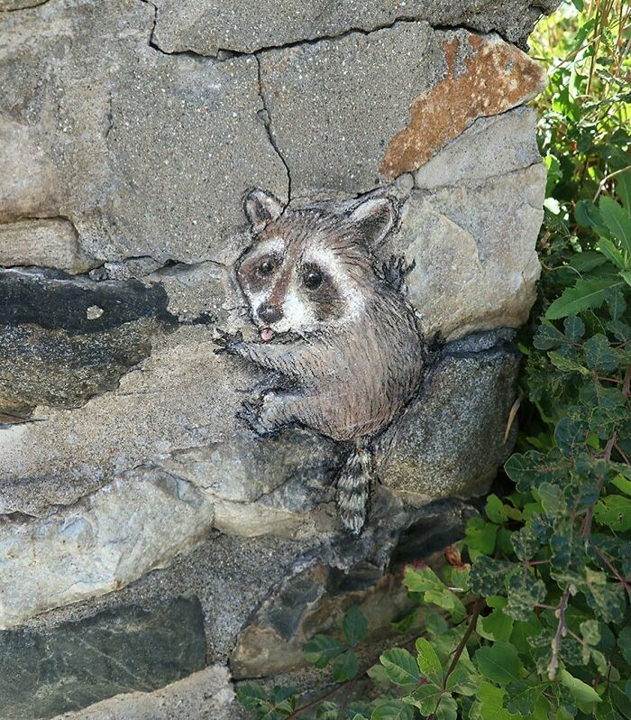 Artist Manages To Extract Life From The Streets And Walls In An Improvised And Joyful Way (New Pics)