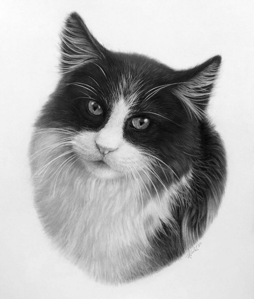 This Artist Makes Realistic Portraits Of Animals That Will Leave You Jaw-Dropping