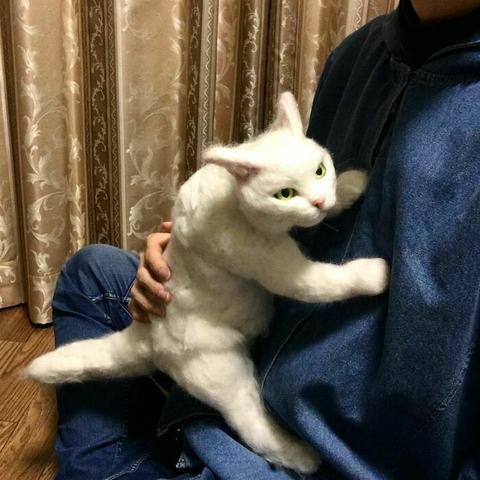 【徐々に伸びる猫】成長記録1　
全長54cm(尾を含む)
猫1匹分の長さ
コメント:かわいい
#徐々に伸びる猫
#世界一癒されない猫カフェ