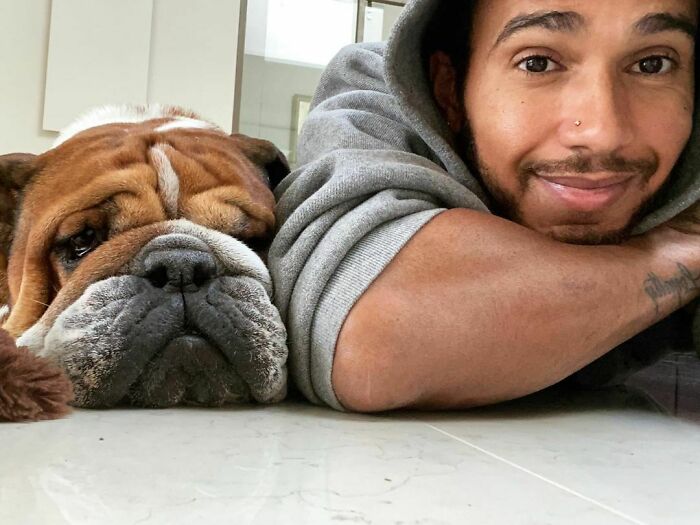 Man and bulldog lying on the floor together showing immense love for dogs in a cozy indoor setting.