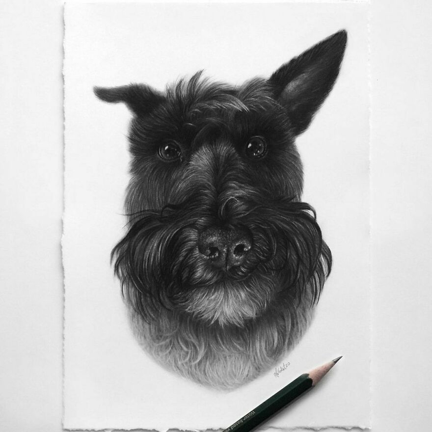 This Artist Makes Realistic Portraits Of Animals That Will Leave You Jaw-Dropping