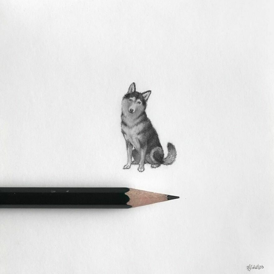 This Artist Makes Realistic Portraits Of Animals That Will Leave You Jaw-Dropping
