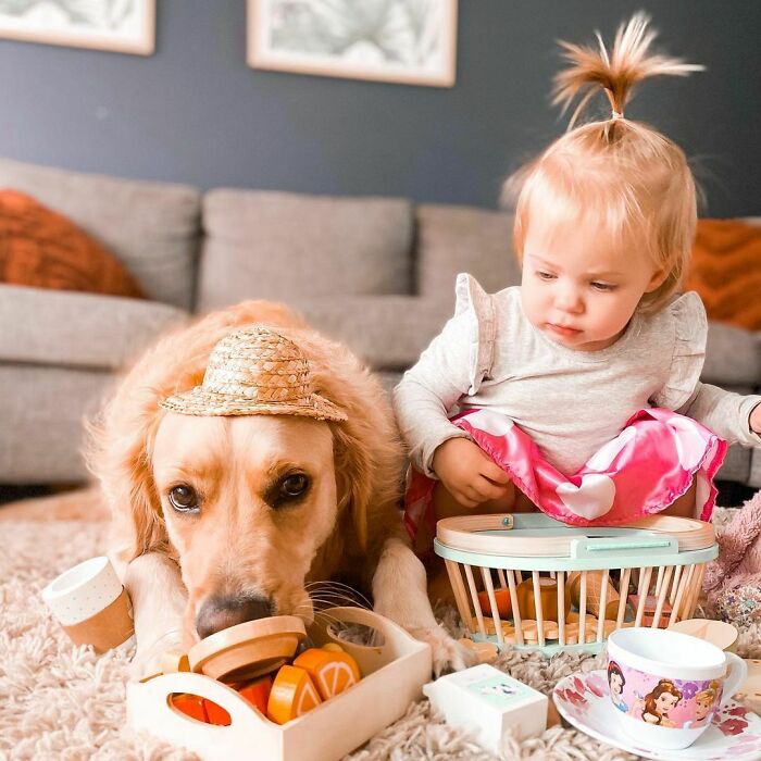 Turns Out This Tea Party I Was Invited To Has Fake Food. Rude