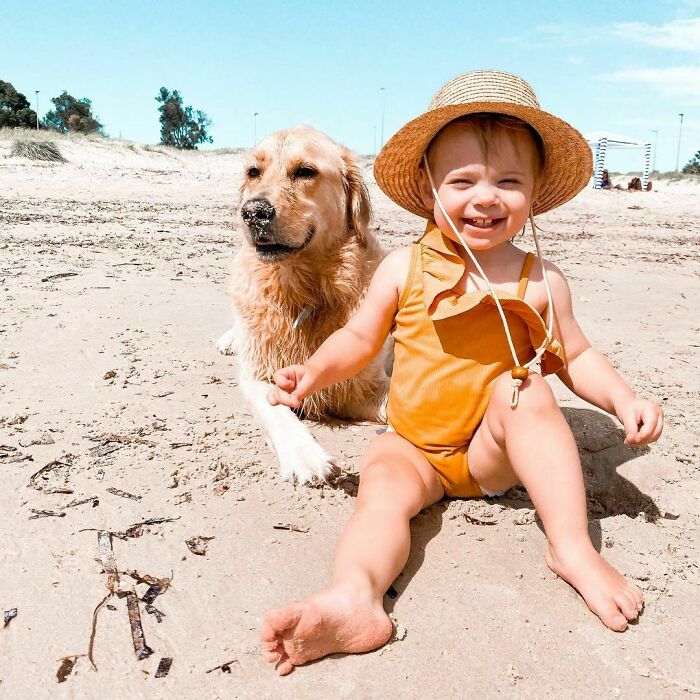 Marsh Joined Several New Families On The Beach And Stole Many Balls And Macy Ate Some Sand And Tried Stealing Someone Kayak And Gave All Doggos Pats