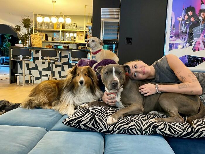 Celebrity relaxing on a couch with three dogs, showcasing immense love for dogs in a modern home setting.