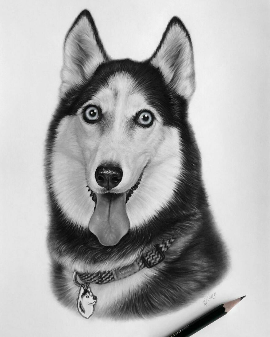 This Artist Makes Realistic Portraits Of Animals That Will Leave You Jaw-Dropping