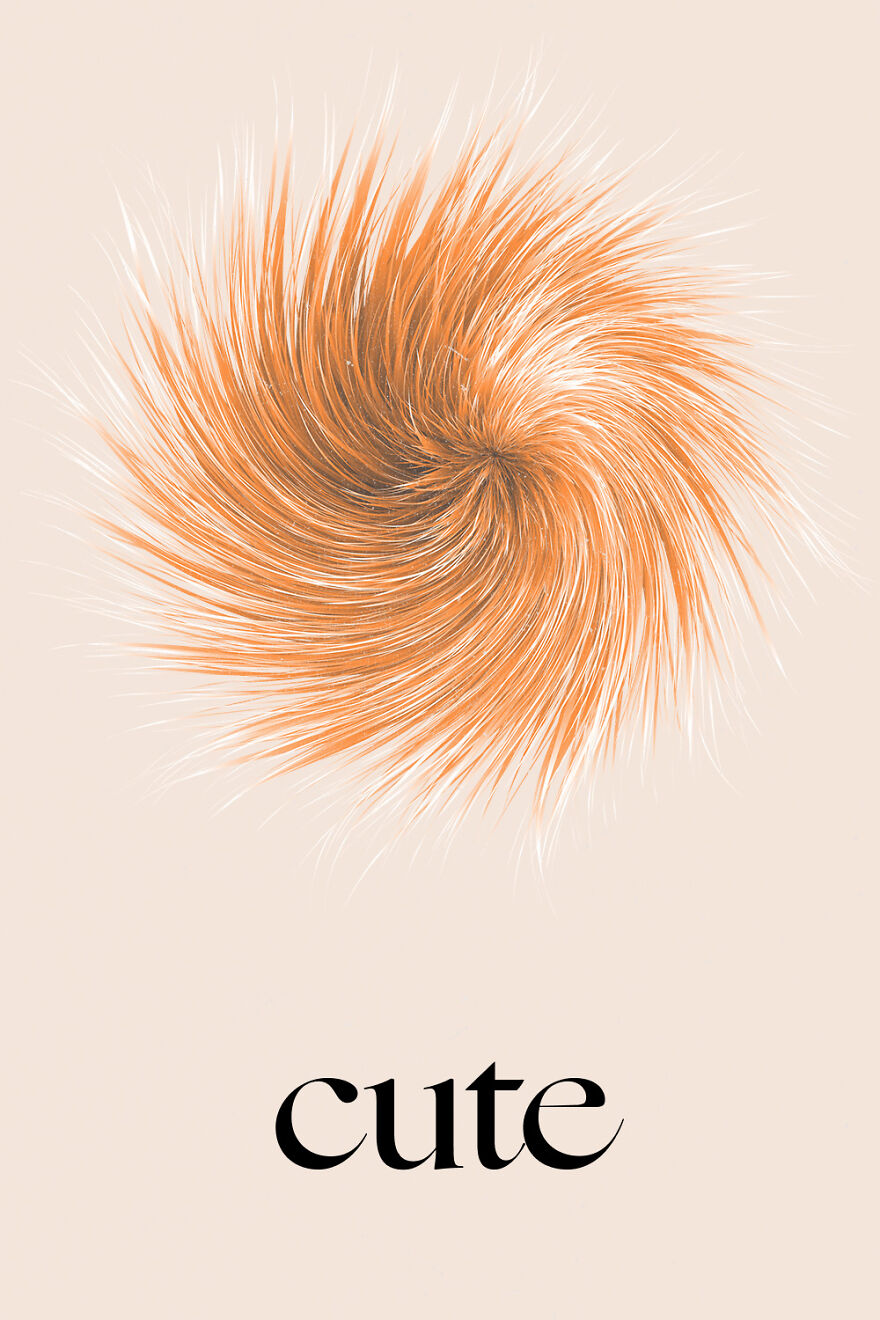 I Made Graphics That Extend The Imagination