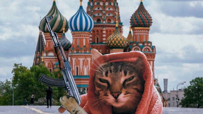 Babushka Takes Justice Into Her Own Hands