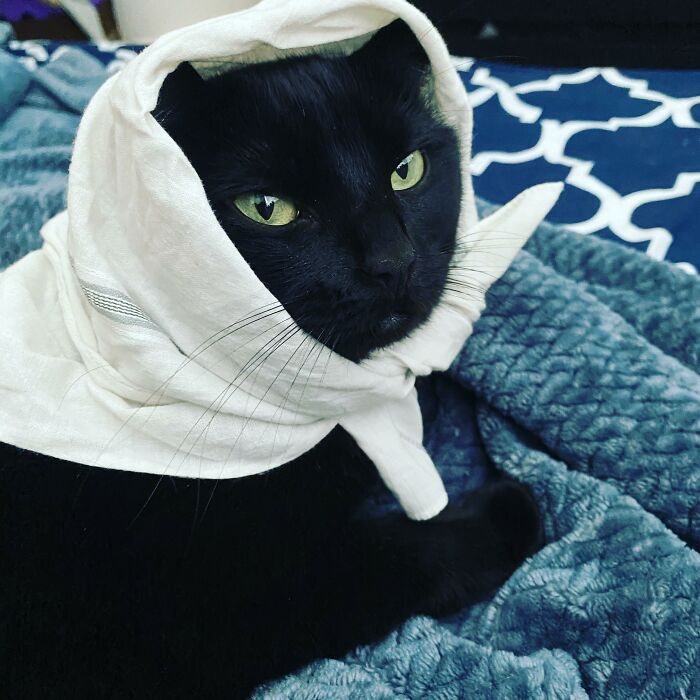 I’m So Disappointed In You, Human!