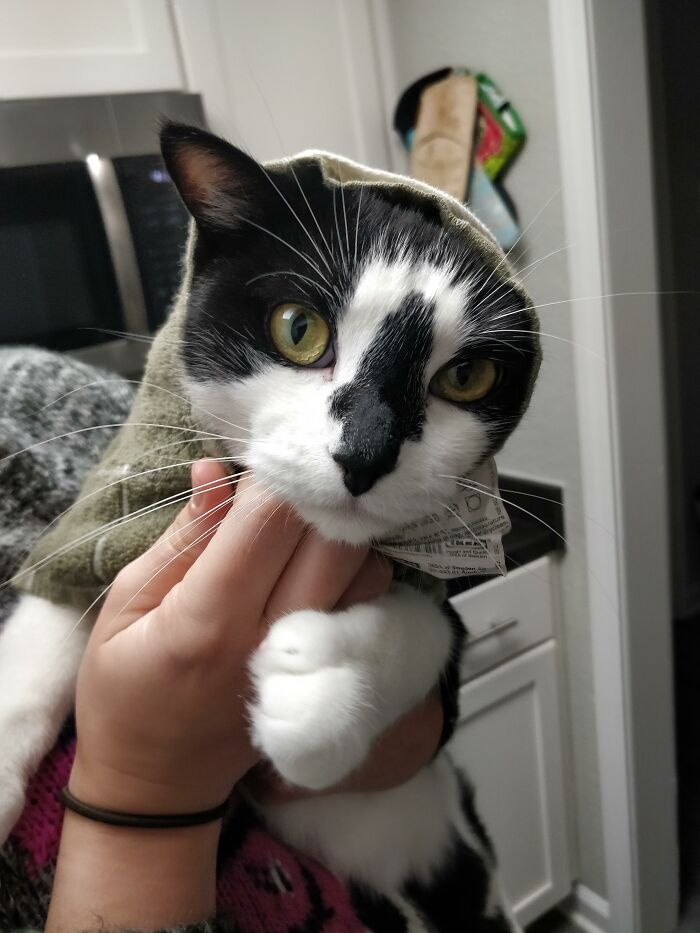 Bean Just Hopes His Son Comes Home From The War