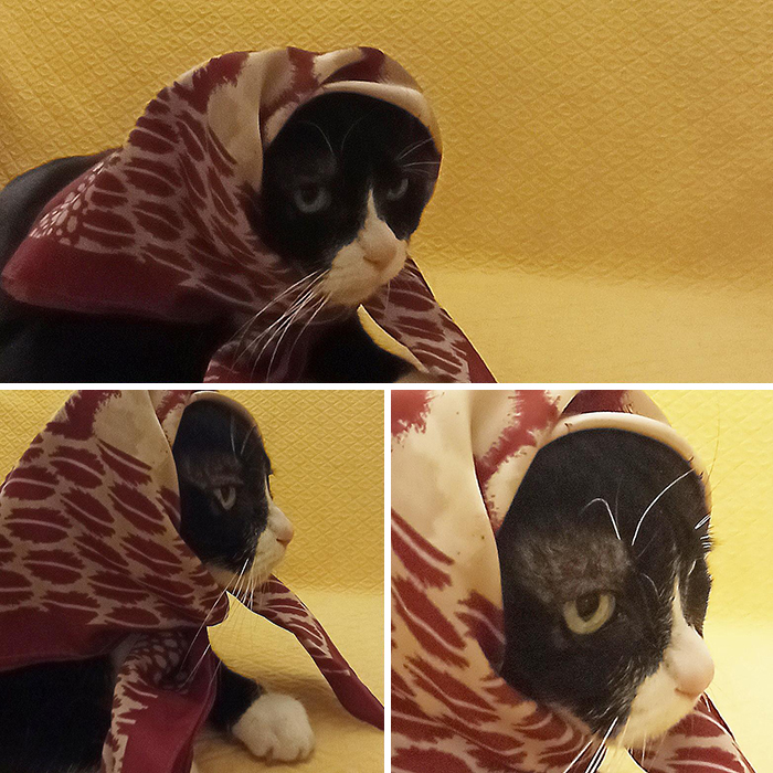 Gannicus Is Not Enthusiastic