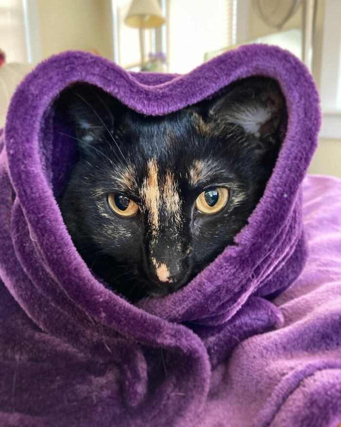 Lovely Babushkat