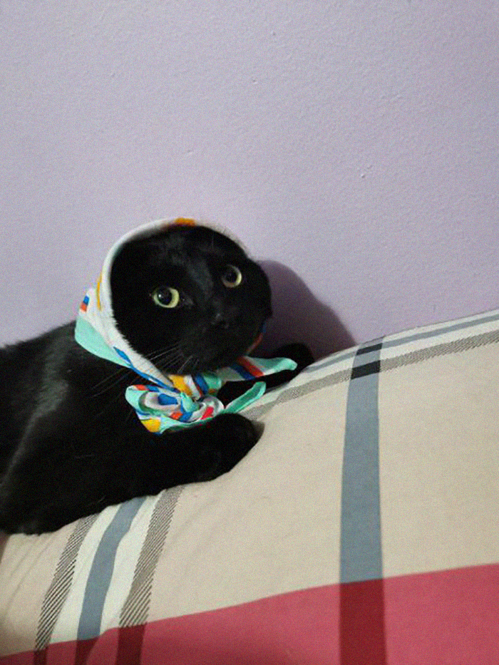 Shadow Turned Into A Babushkat