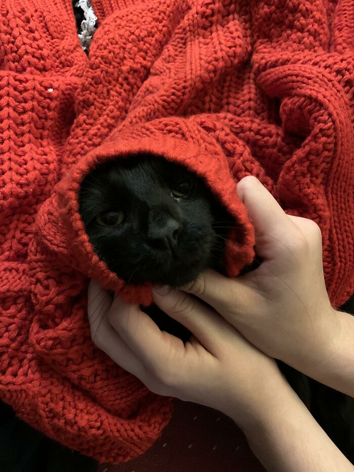 Little Babushka Waiting For Borscht