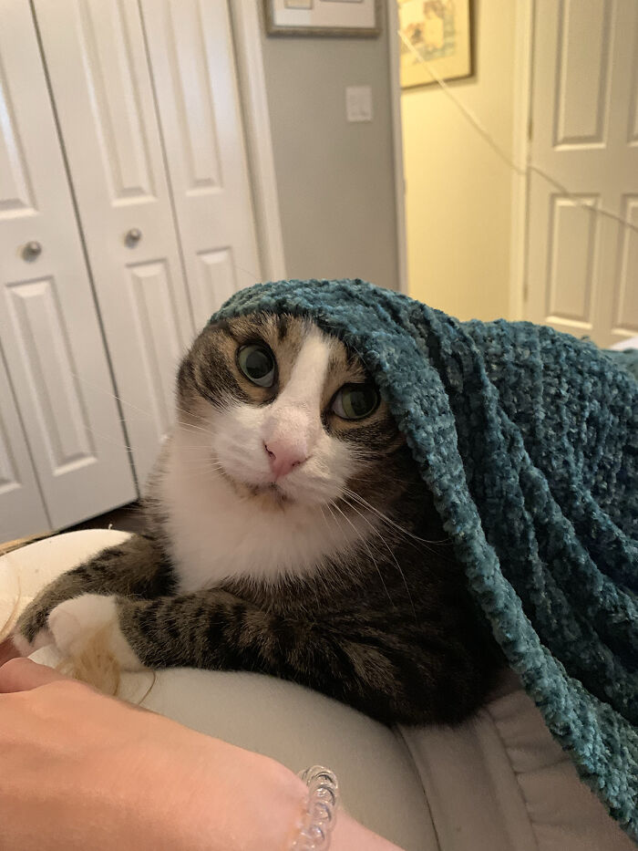 The Borscht Is Nearly Ready, Child