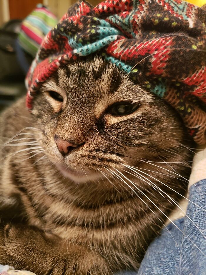 Nylah Sneaks A Furtive Glance At You