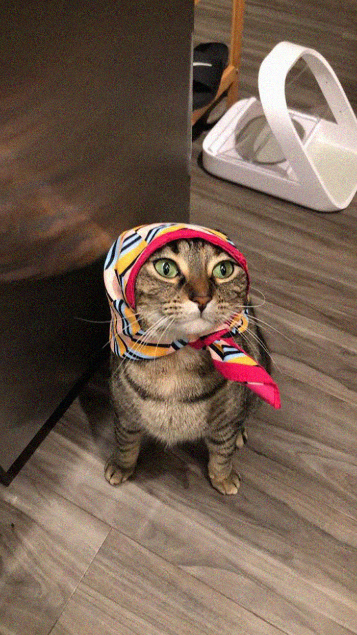 Fridge Babushkat (X-Post)