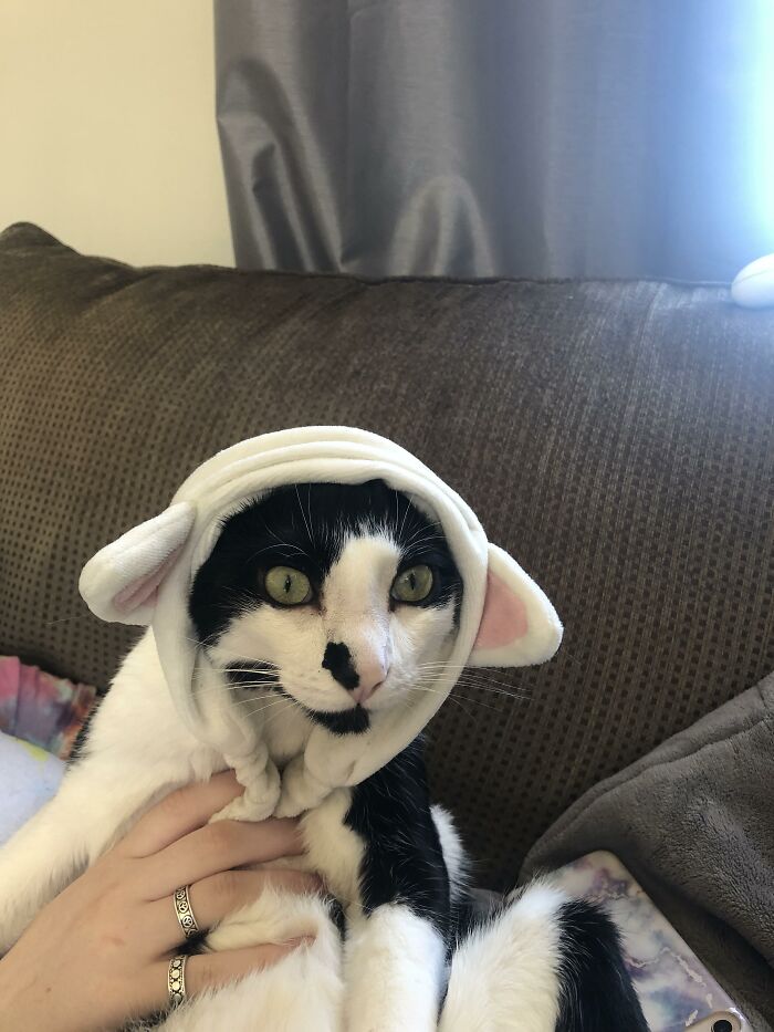 Funnily Enough, His Name Is Bubby. Not Sure Why I Didn’t Do This Sooner