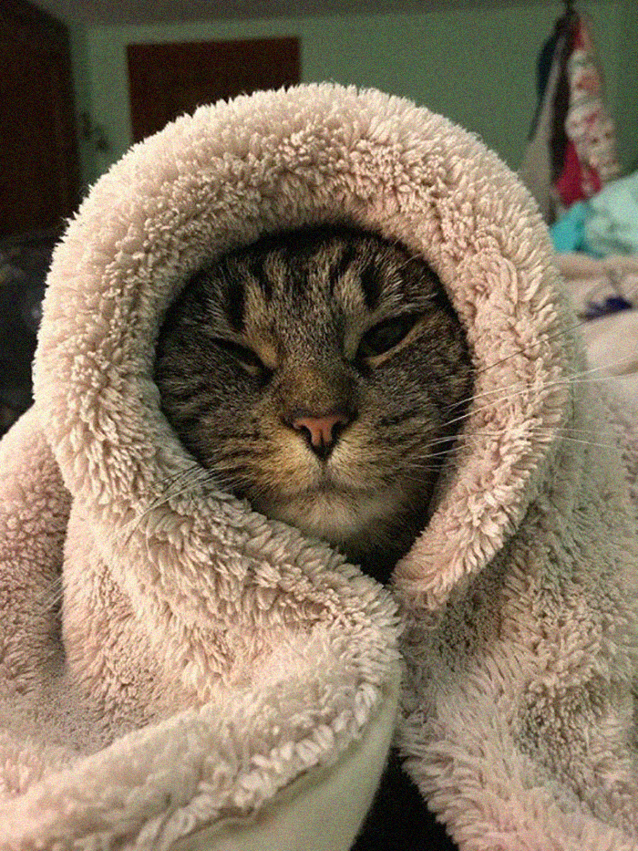 A Snow-In-April Kind Of Mood