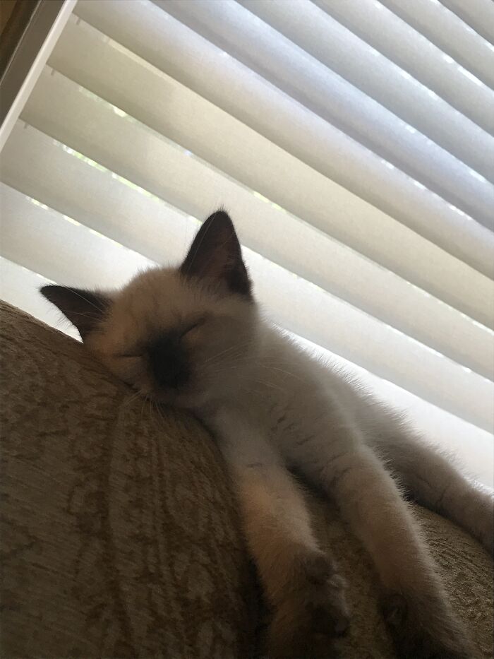 It’s So Hard To Be A Baby