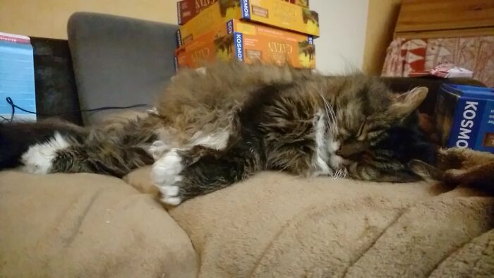 Sleeping For Life! *born 2002