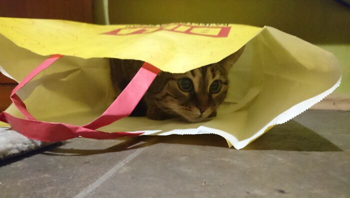 Don't Even Remember Buying This...