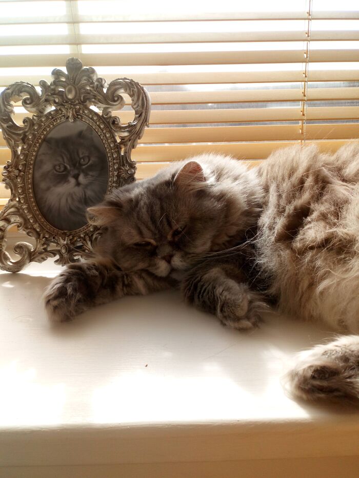 Lady P Sleeping Next To Her Favourite Photo!!