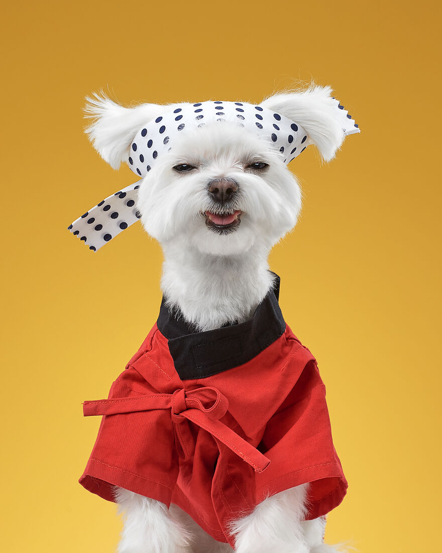 Karate Kid: Gavrik, The Maltese