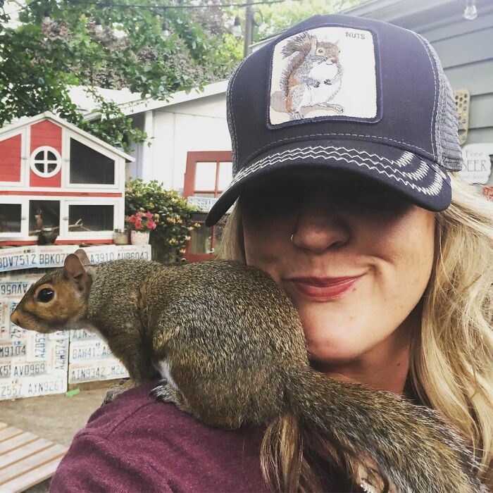 Woman Finds A Baby Squirrel On The Sidewalk And Gives Him A Second Chance At Life; Two Years Later, He Still Visits Her Garden