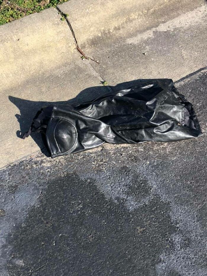 Oh My! In A Parking Lot 20 Feet From...