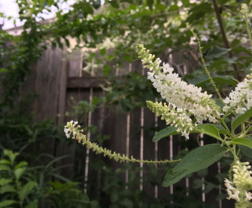 Wildlife Photography Wildlife Photography