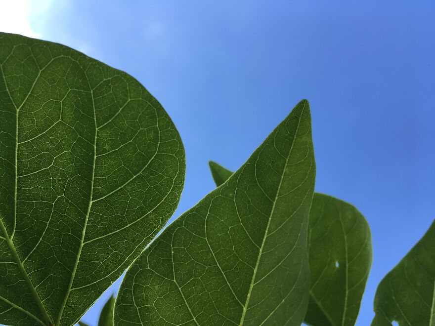 Wildlife Photography Wildlife Photography