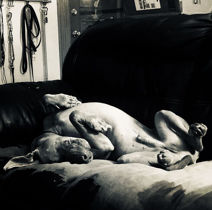 Rainer- Nothing Like A Good Stretch