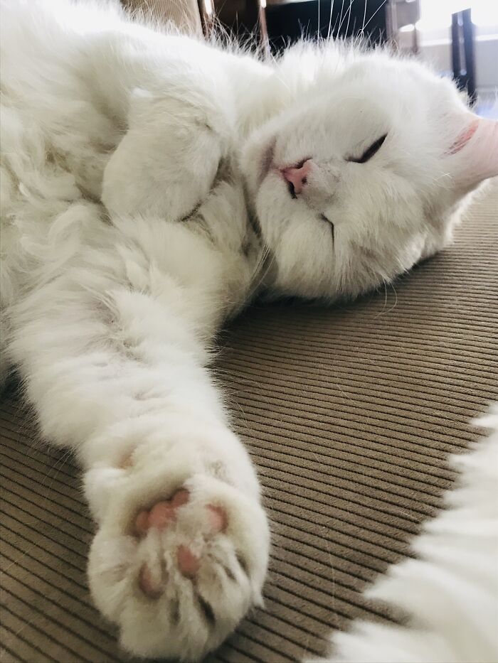 Hold My Hand, I Had A Bad Dream