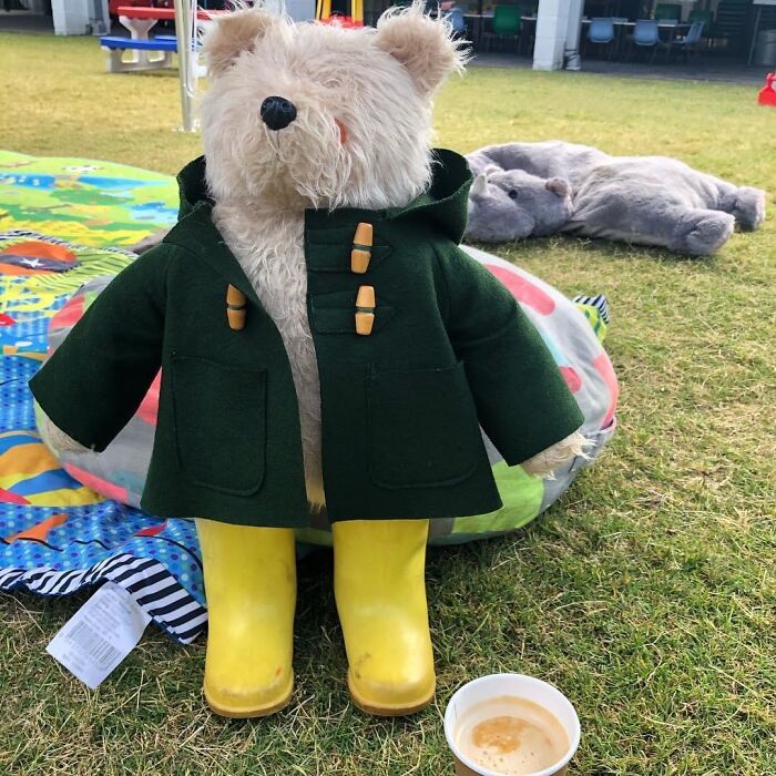 Paddington Bear, Been With Me For Over 40 Years