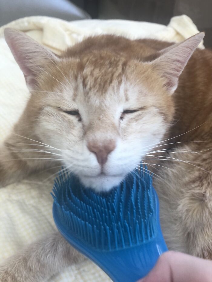 Relaxation 100000000000000000