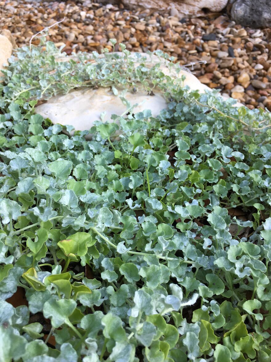 Wildlife Photography Wildlife Photography