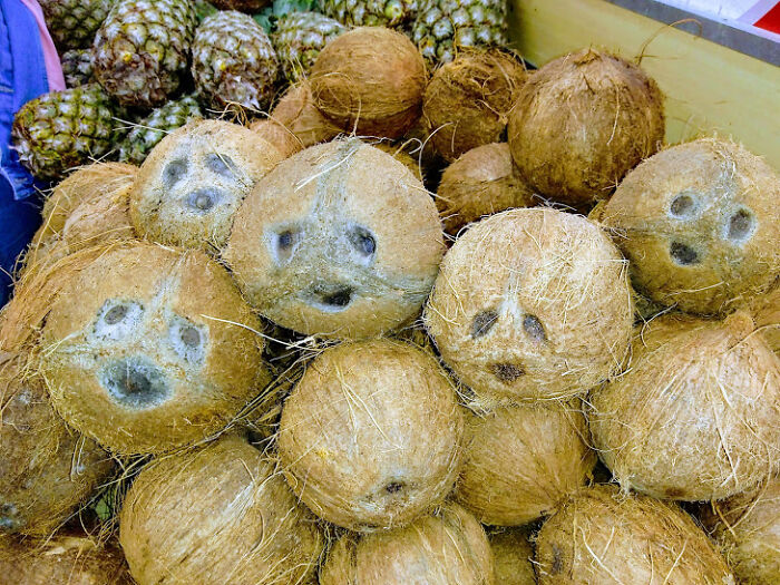 It Looks Like They're Saying "Don't Worry, Be Happy".