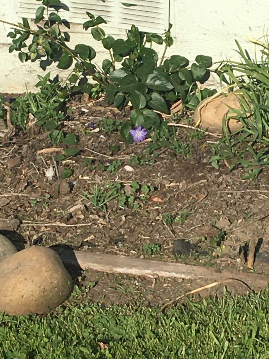 10 Weird And Cool Things I Saw On A Walk 10 Weird And Cool Things I Saw On A Walk