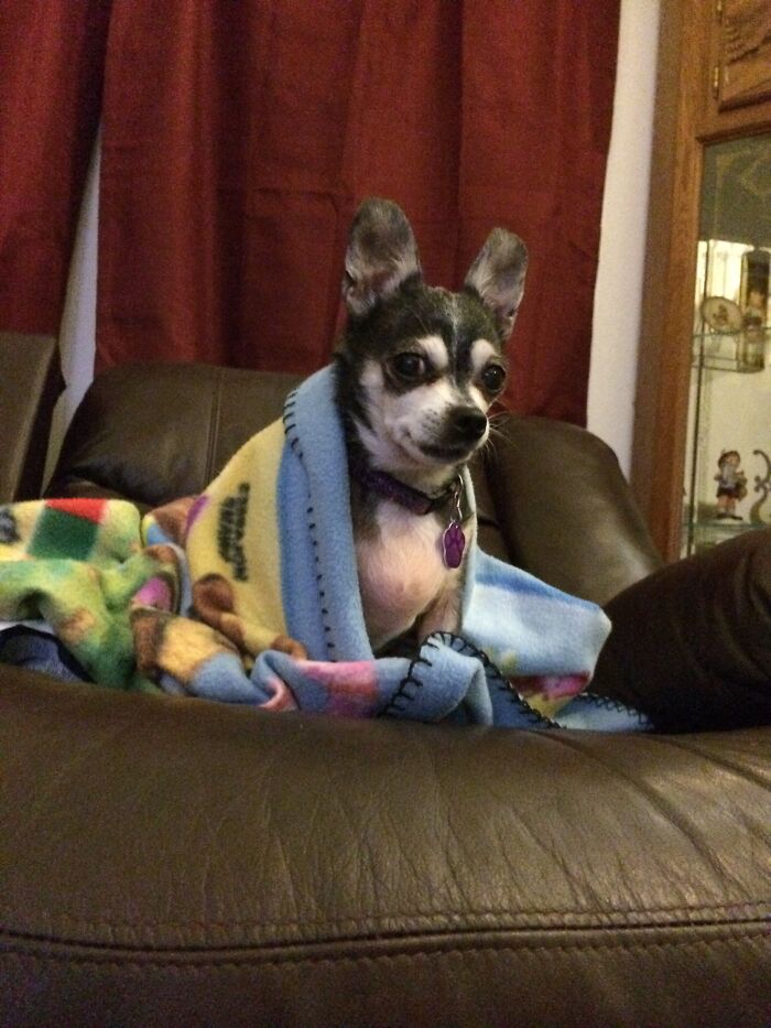 Pepper May Be Long Gone, But Her Cuteness In This Photo Lives On