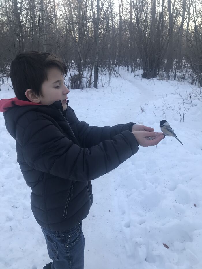 My Son The Bird Whisperer