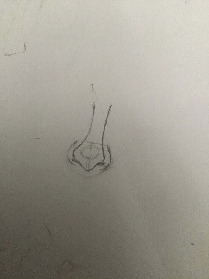 Also Learned How To Sum What Draw Nose