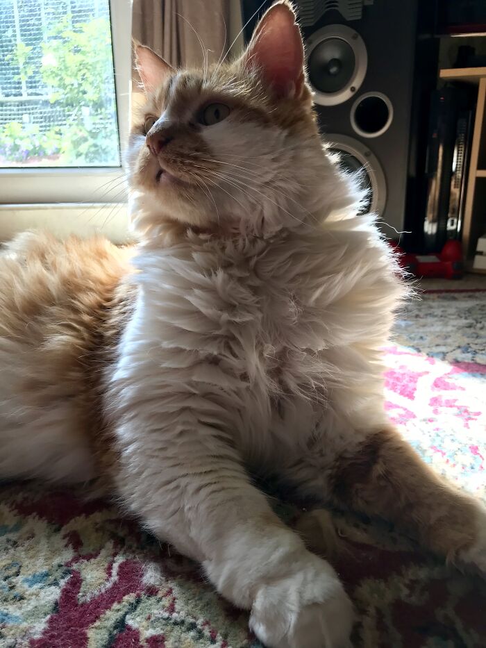 Luciano, Looking Amazing As Always.