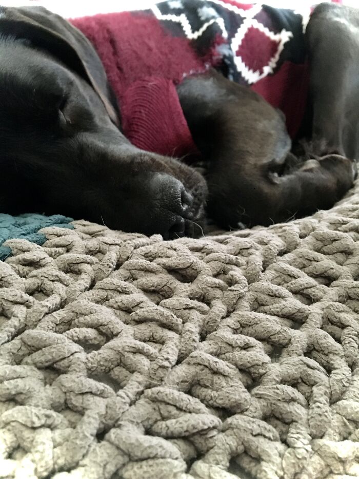 He Get's So Warm When He Sleeps ❤